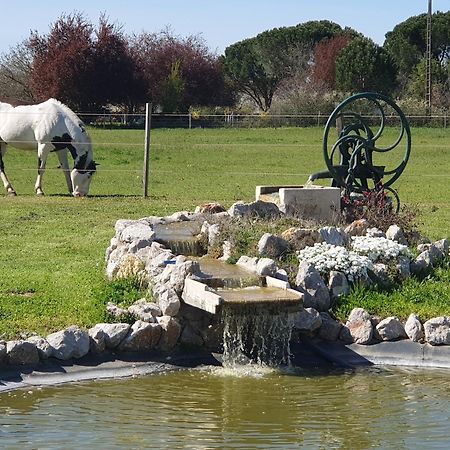 Domaine Christanna Bed & Breakfast Lisle-sur-Tarn Exterior photo
