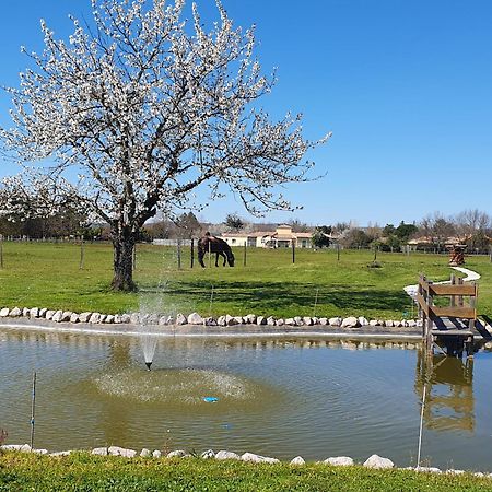 Domaine Christanna Bed & Breakfast Lisle-sur-Tarn Exterior photo